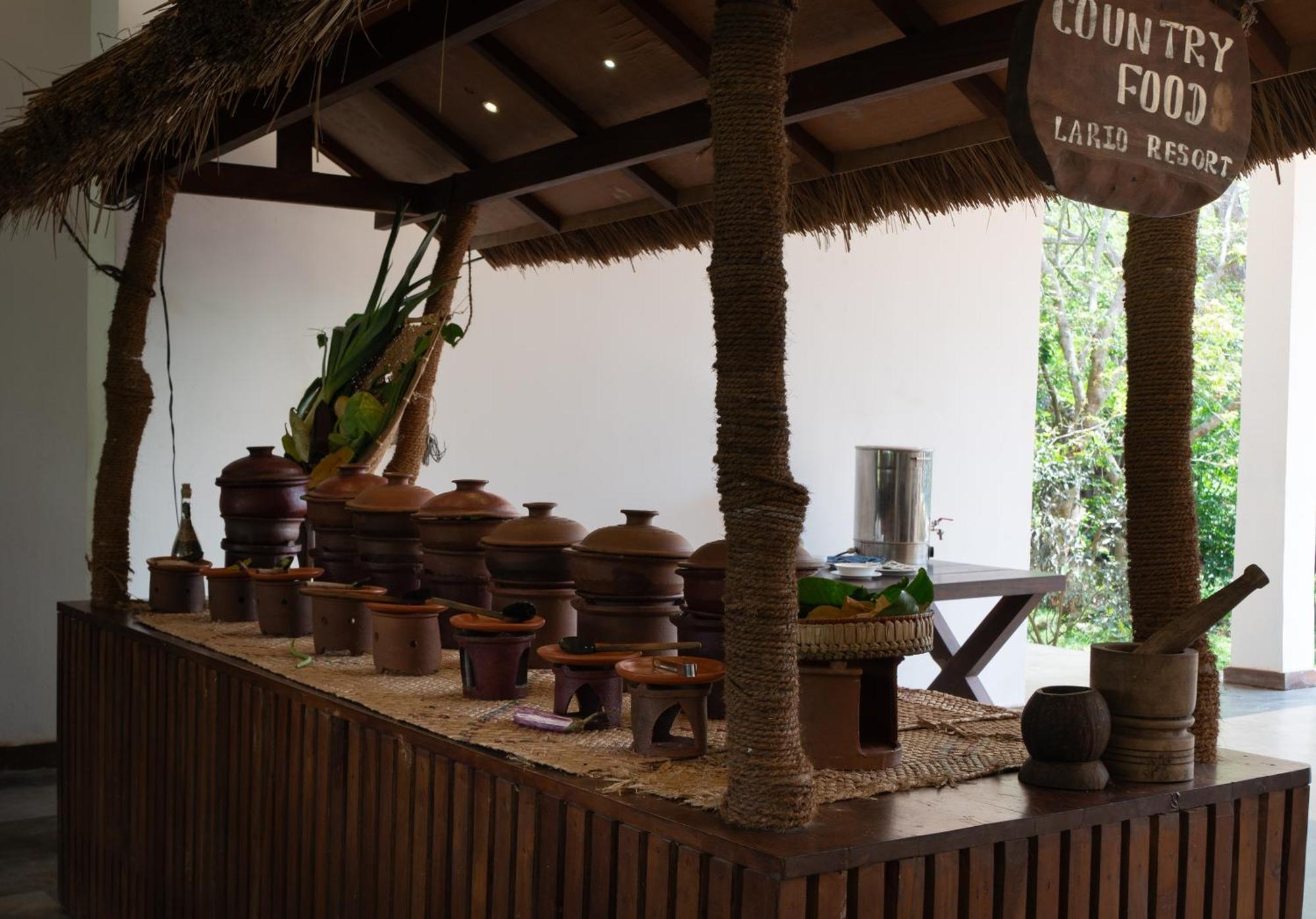 Lario Resort Sigiriya Ngoại thất bức ảnh